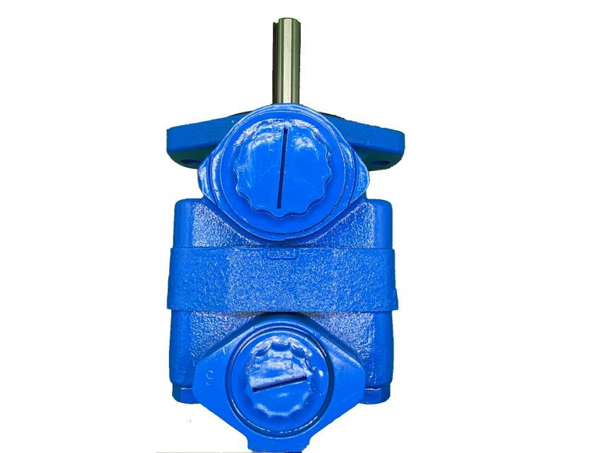 V20 1B11B -1C10R   Hidrolik Paletli Pompa 11Galon - 1